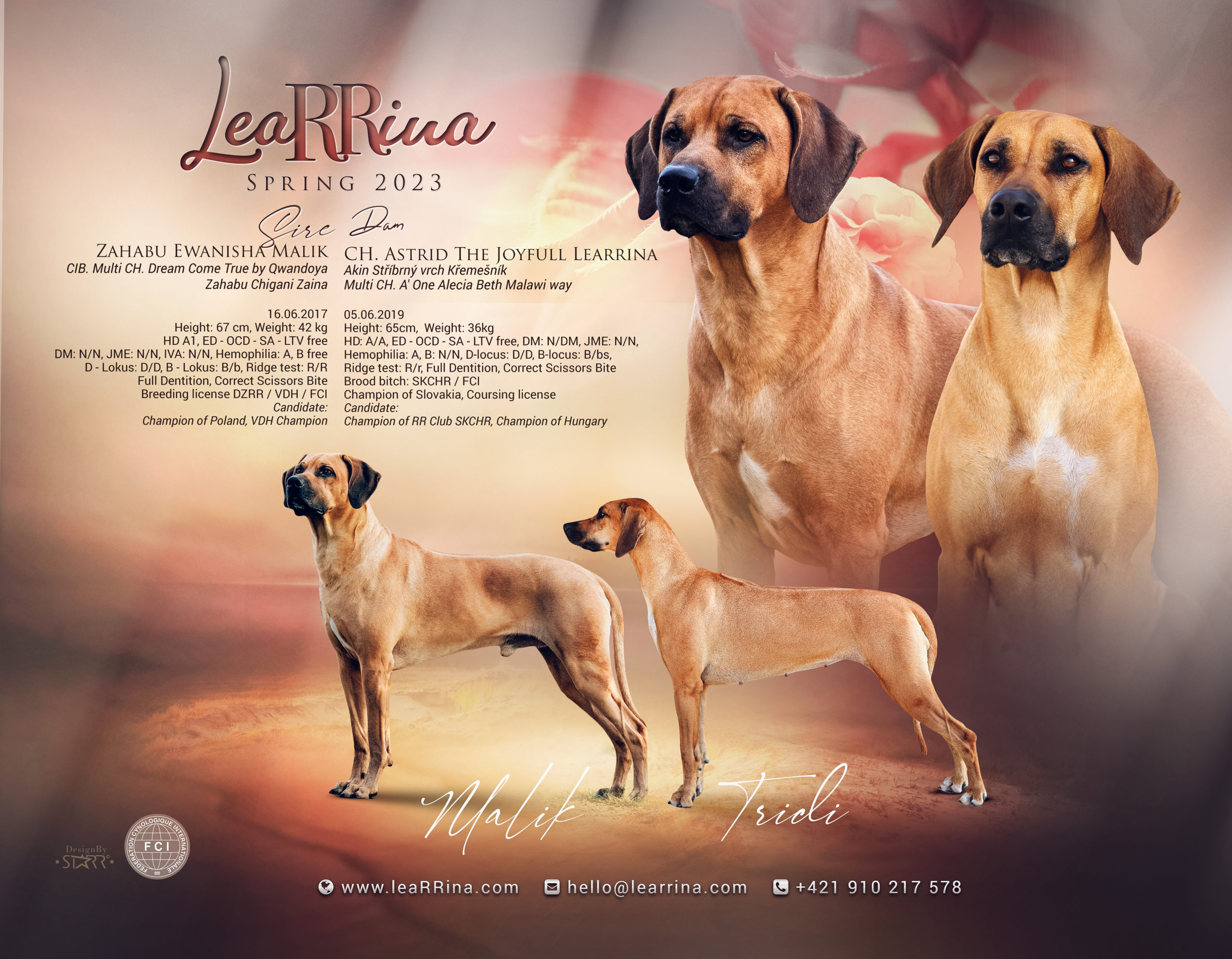 https://www.learrina.com/wp-content/uploads/2022/12/LeaRRina-C-vrh-steniatka-ridgeback-scaled.jpg