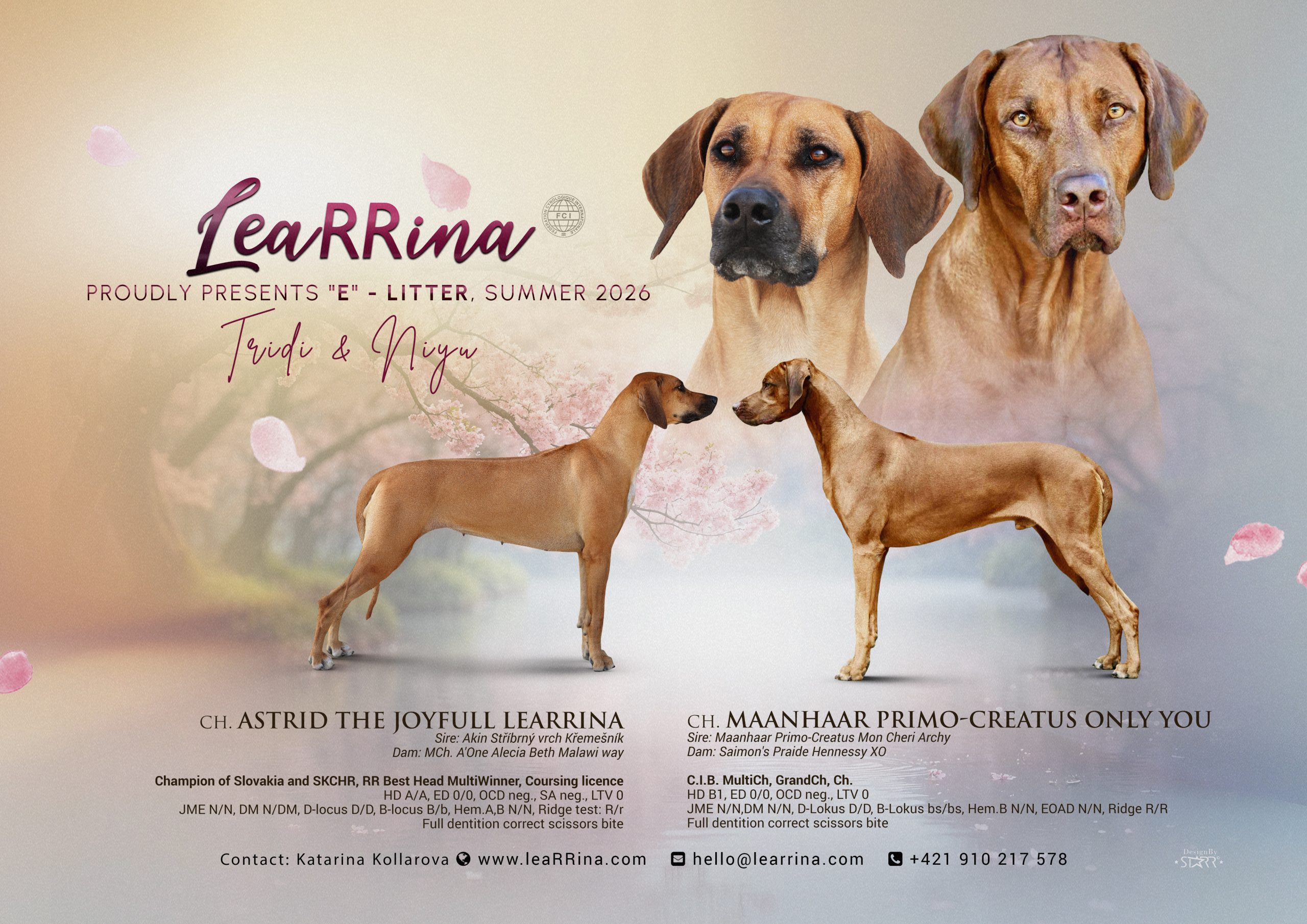 https://www.learrina.com/wp-content/uploads/2026/05/larrina2026_pastele-1-scaled.jpg